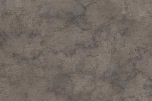 K539-PN-fosilni-arosa